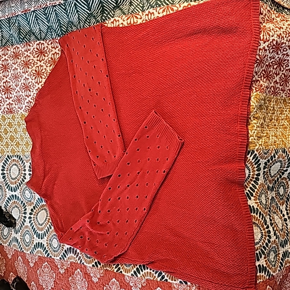 Anthropologie Moth burnt orange sweater size xl